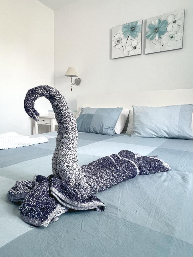 Lovely Apartment Near The Beach With Pool & Wifi 칼레타데푸스테 외부 사진